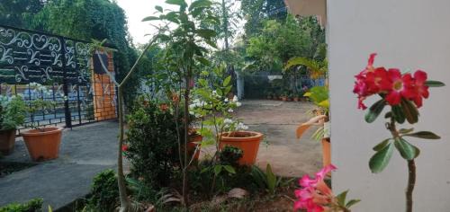 Kuzhithurai House | Athichans Homestay