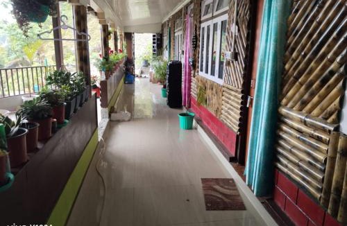 Kumai House | Bamboo Queen Homestay Rongo