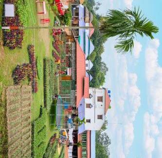 Bishnupur Resort | Banalata Resort