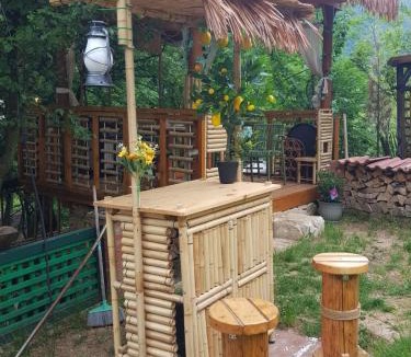 Baile Herculane House | Barbu Ionel