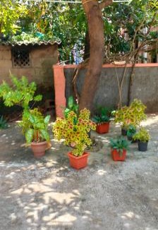 Mangalore House | Beach Side homestay
