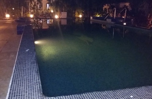 Chapora Villa | Beautiful 3 BHK Villa with pool in Tranquility ofNature