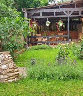 Baicoi House | Beautiful guest house close to mud bath treatment, Baicoi