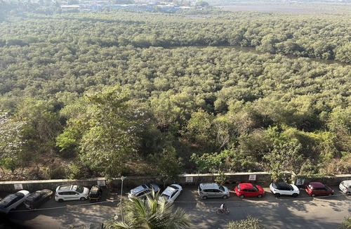 Kandivali Apartment | Beautiful neat and clean place . Beautiful green view with nature