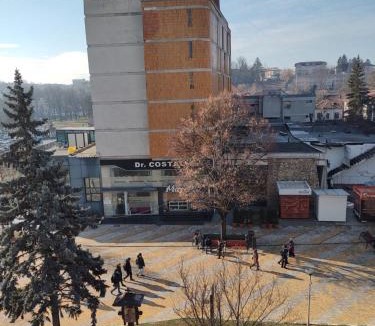 Pitesti Bed & Breakfast | Bedaleyl