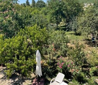 Popesti-Leordeni House | Bella City Garden Escape
