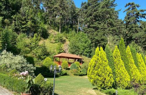 Sacele House | BellaVista Brasov