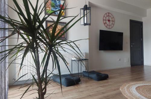 Craiova Apartment | Best City View