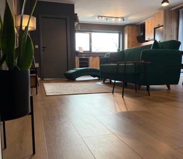 Tirgu Mures Apartment | Best View Terrace