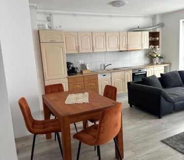 Tirgu Mures Apartment | Betty Apartament
