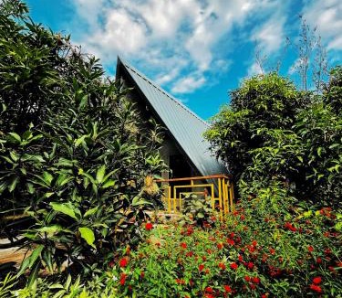 Shahapur Hotel | Birds Nest Resort - Thane
