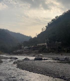 Paliyal Gaon Resort | Birds the Jungle Retreat