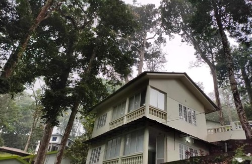 Pallivasal House | Blossom Valley Pothamedu - A Heavenly retreat