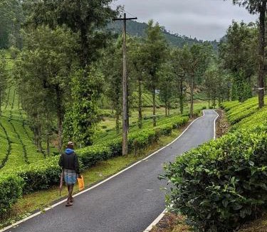 Gudalur Apartment | Blue mount stay
