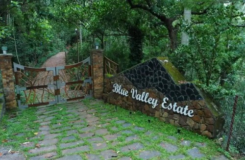 Yercaud Villa | Blue Valley Estate-12 Acre Forest-Silver Oak-Villa