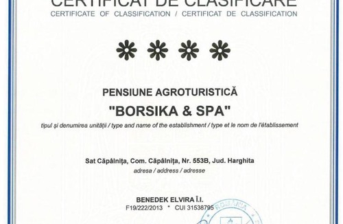 Capalnita House | BORSIKA PENSIUNE & SPA
