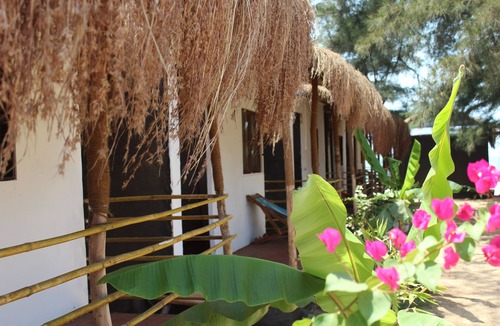 Palolem Cottage | Bougainvilleapatnem beautiful eco friendly cottages