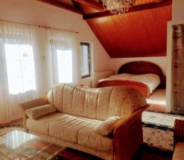 Porumbacu de Jos Apartment | Boutique apartment 80 sqm