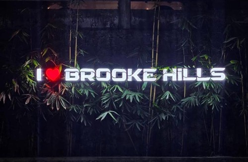 Lakkidi Resort | Brooke hills 2 BHK villa falls view