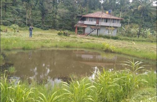 Madikeri Villa | Brookfield estate villa 2bhk