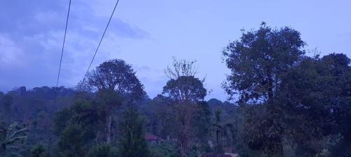 Madikeri House | Bymana Serenity Estate Stay