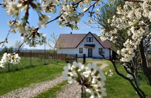 Grumazesti House | Căsuța din Deal