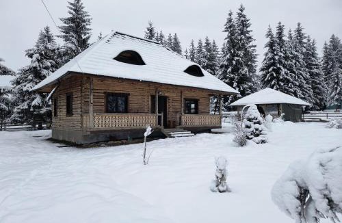 Vatra Dornei Cabin | Căsuța din Povești - Vatra