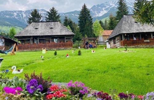 Borsa House | Căsuța Floarea Reginei