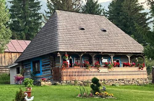 Borsa House | Căsuța Floarea Reginei