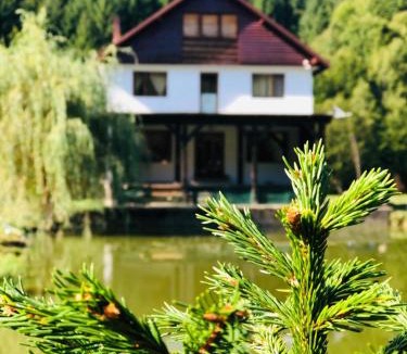 Cosbuc House | Cabana Țibleș