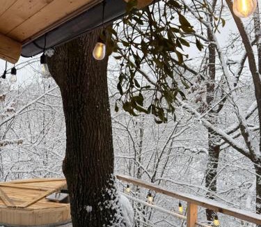 Surdesti House | Cabana A