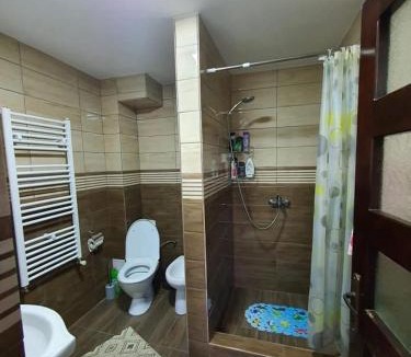 Piatra Fantanele House | Cabana Adisor