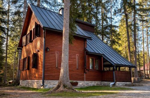 Izvoru Muresului Ski Chalet | Cabana Adrienne