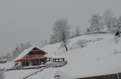 Horea Ski Chalet | Cabana de sub mesteceni