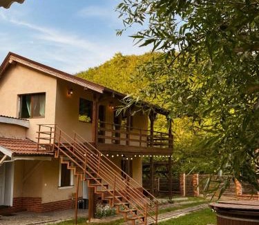 Albesti Cabin | Cabana Din Pădure