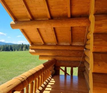 Marisel House | Cabana dintre brazi Mărișel