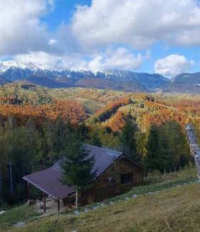 Moieciu Cabin | Cabana doi mesteceni