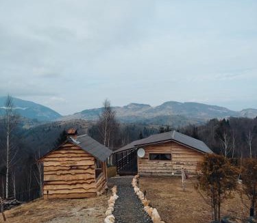 Moieciu Cabin | Cabana doi mesteceni