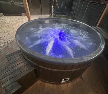 Azuga House | Cabana EviMat Azuga