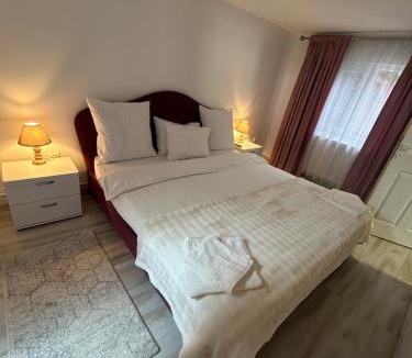 Azuga House | Cabana EviMat Azuga