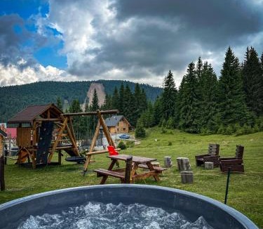 Vartop Cabin | CABANA FRAM VÂRTOP