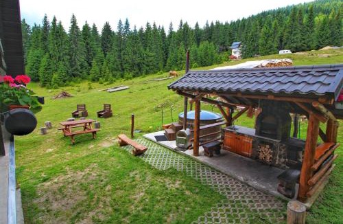 Vartop Cabin | CABANA FRAM VÂRTOP