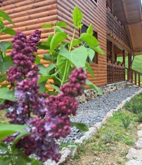 Damuc Ski Chalet | Cabana Luciana