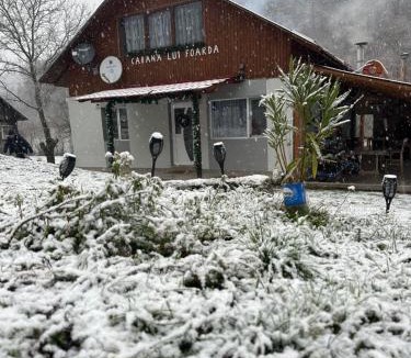 Calugareni House | Cabana lui Foardă