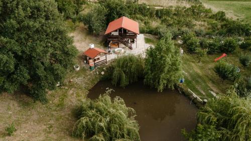 Sebes House | Cabana Petersdorf