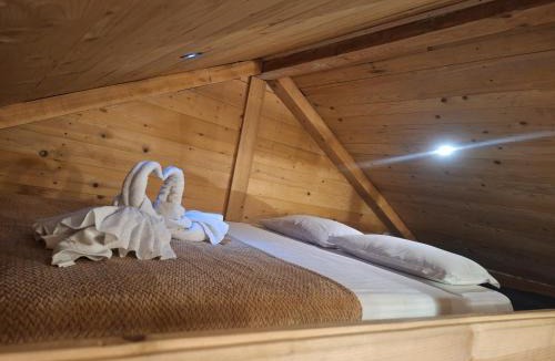 Campulung Moldovenesc House | Cabana Plaiul Bucovinei