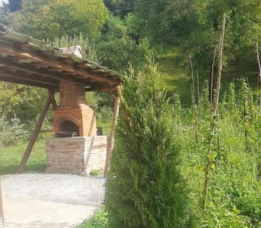 Viseu de Sus House | Cabana plaiului