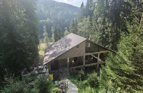 Arefu Cabin | Cabana Zimbru Transfagarasan