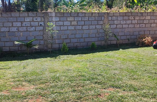 Eldoret House | Camp Flo Eldoret -Homely Comfort in a Private Compound