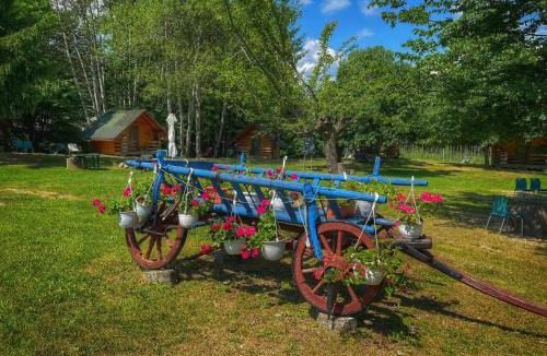 Ciofrangeni Other | Camping Dragoske